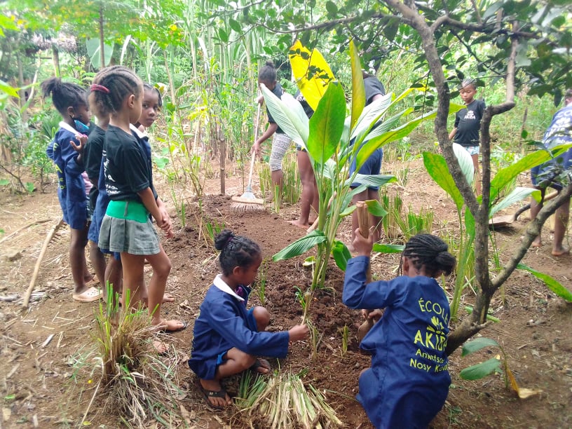 potager école akiba